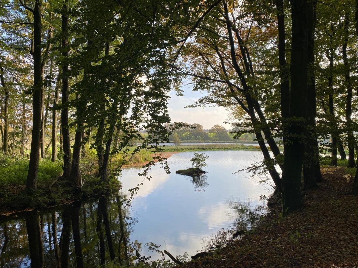 Villa Hyggelig Aftaegtsbolig I Hjertet Af Sonderjylland Branderup Exterior foto